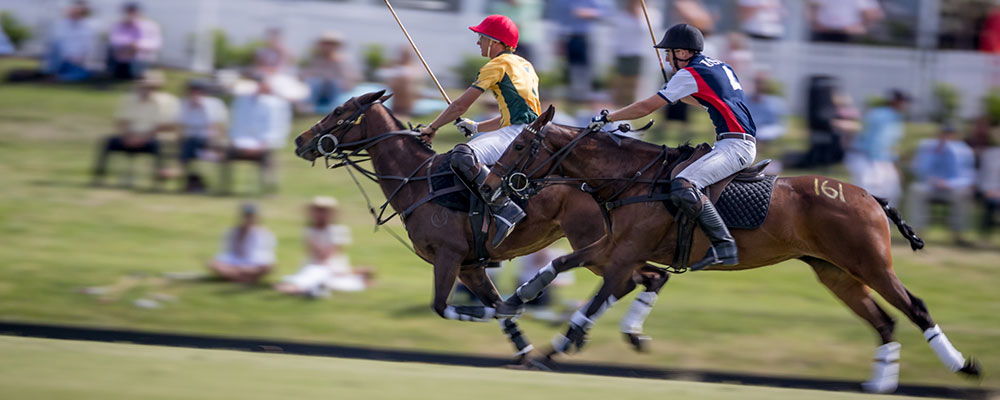 world polo championships usa australia